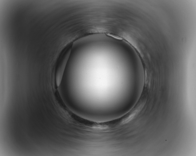 X0000088860109200706081200