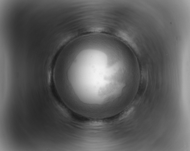 X0000088860110200706081200