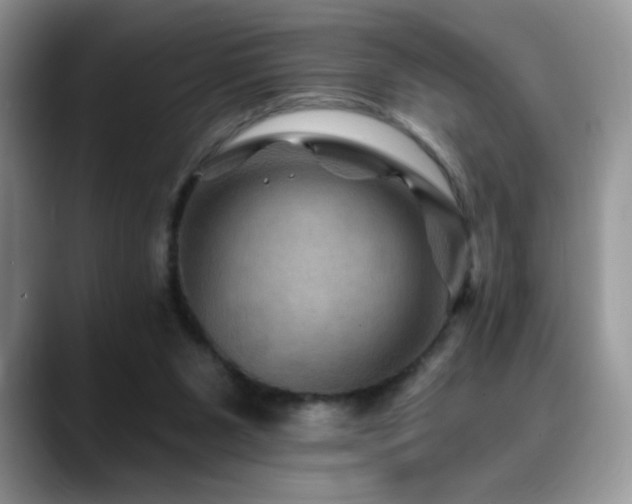 X0000088860111200706081200