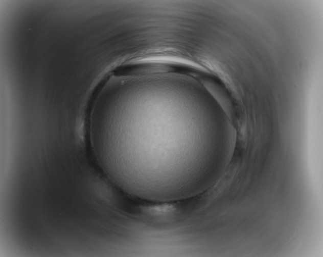 X0000088860112200706081200