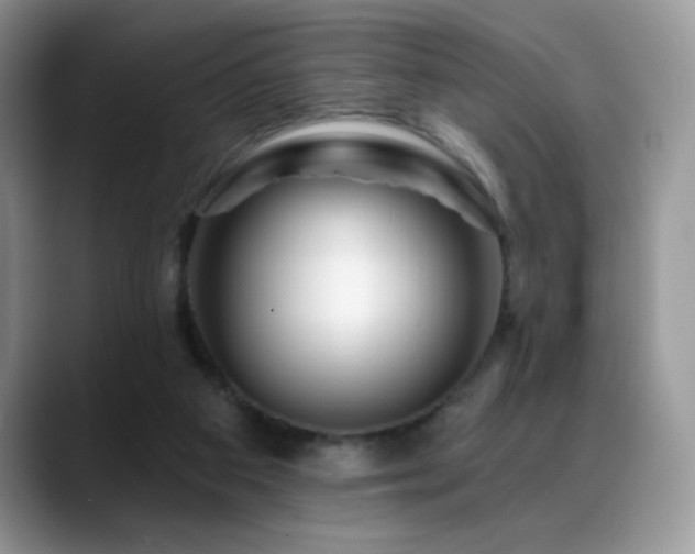X0000088860113200706081200