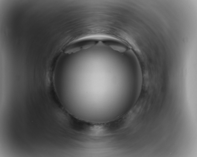 X0000088860114200706081200