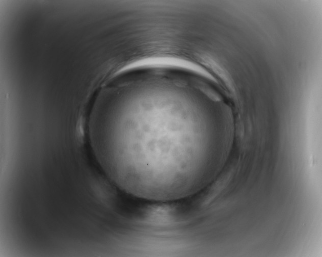 X0000088860115200706081200