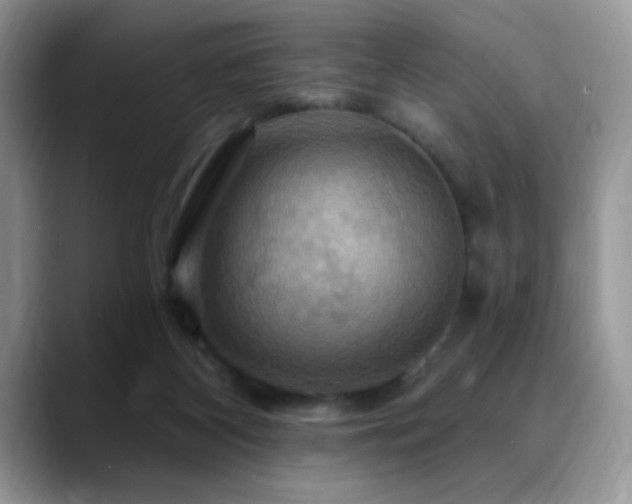 X0000088860116200706081200