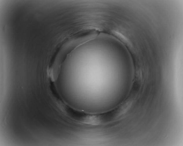 X0000088860117200706081200