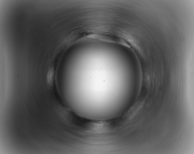 X0000088860118200706081200