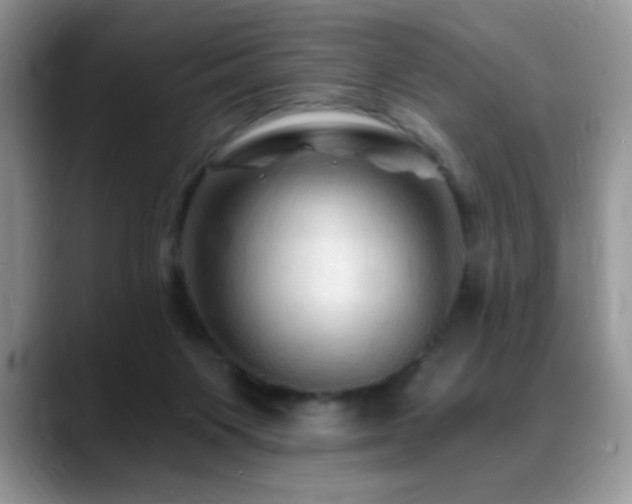 X0000088860119200706081200