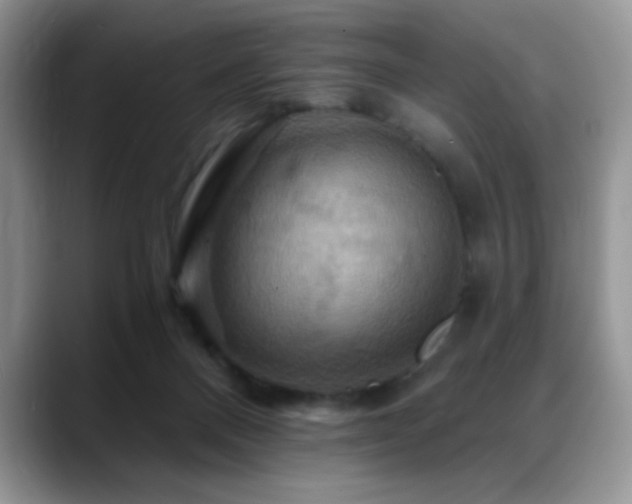X0000088860120200706081200