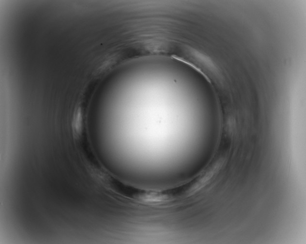 X0000088860121200706081200