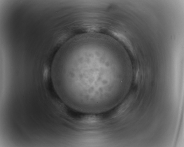 X0000088860123200706081200