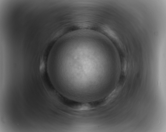 X0000088860124200706081200