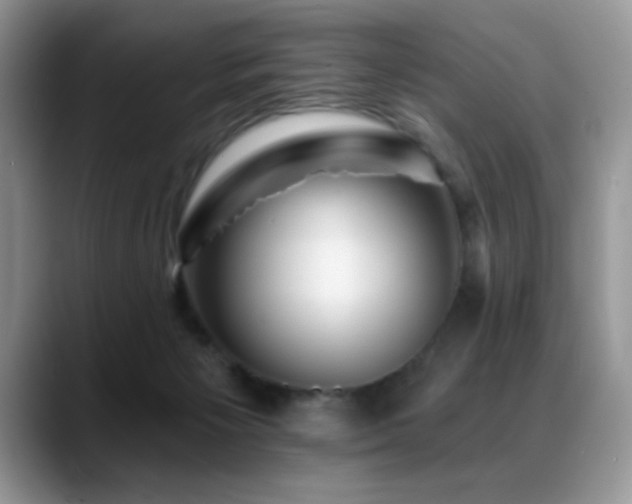 X0000088860125200706081200