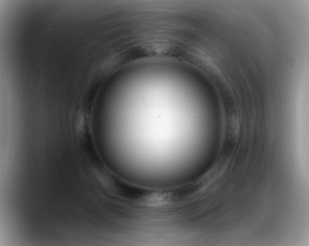 X0000088860126200706081159