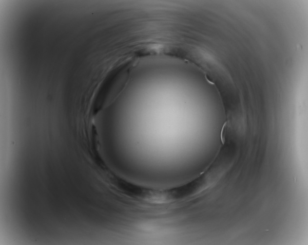X0000088860127200706081159