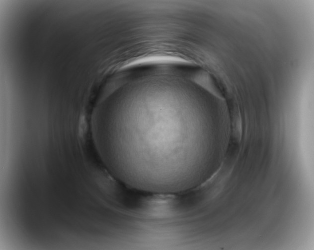 X0000088860128200706081159