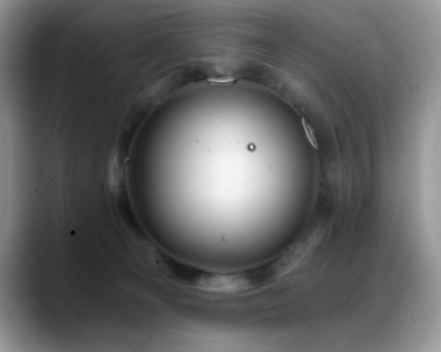 X0000088860129200706081159
