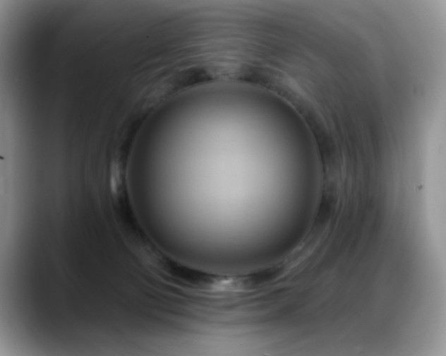 X0000088860130200706081159