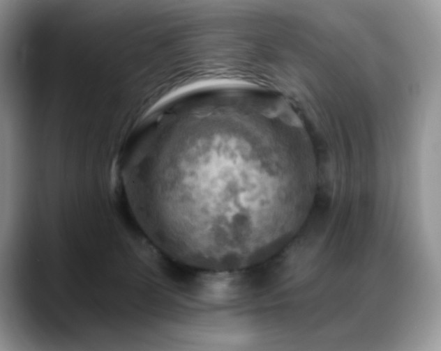 X0000088860131200706081159