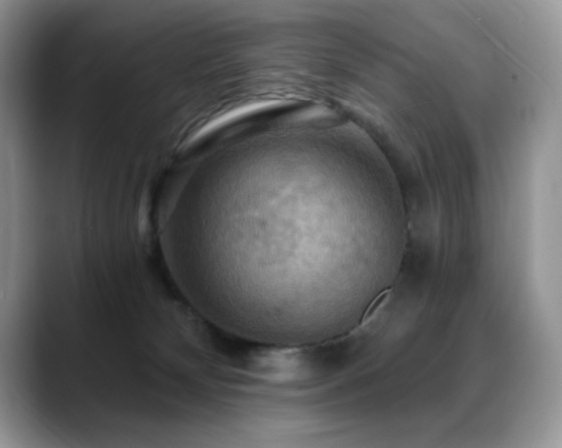 X0000088860132200706081159