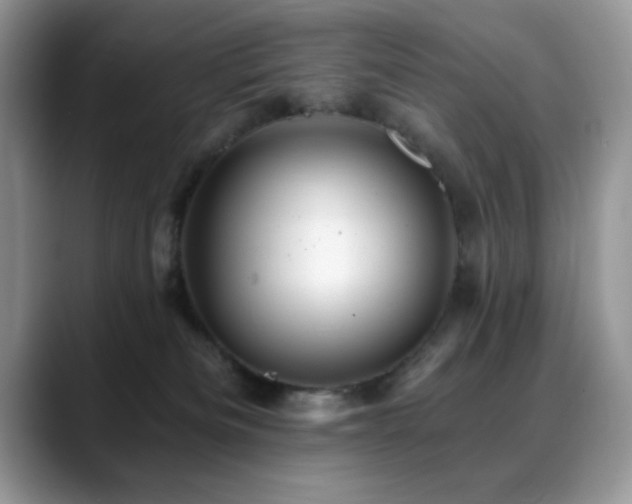 X0000088860133200706081159