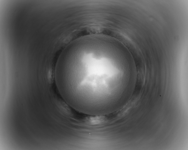 X0000088860134200706081159