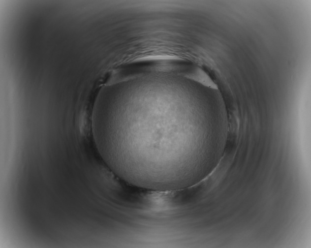 X0000088860136200706081159