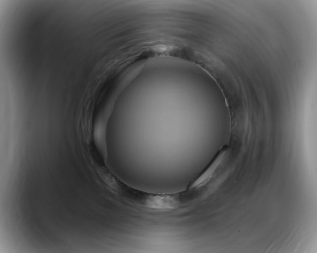X0000088860137200706081159