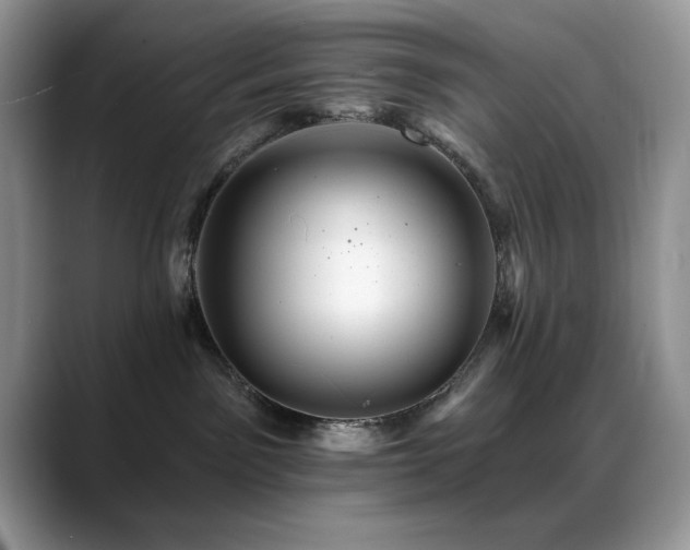 X0000088860141200706081159