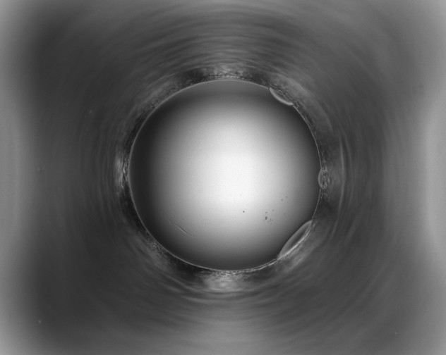 X0000088860142200706081159