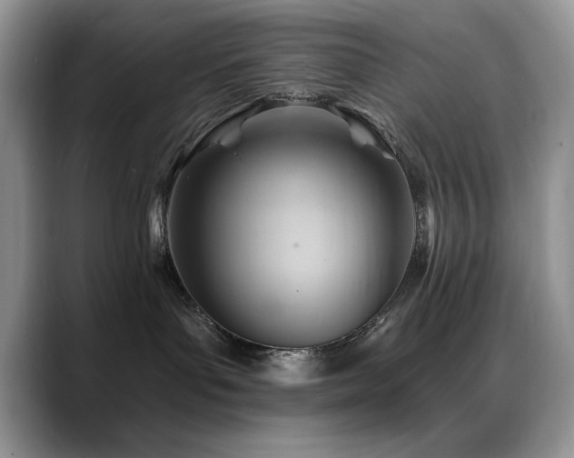 X0000088860143200706081159