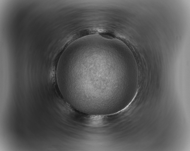 X0000088860144200706081159