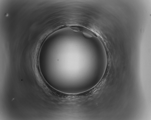 X0000088860145200706081159