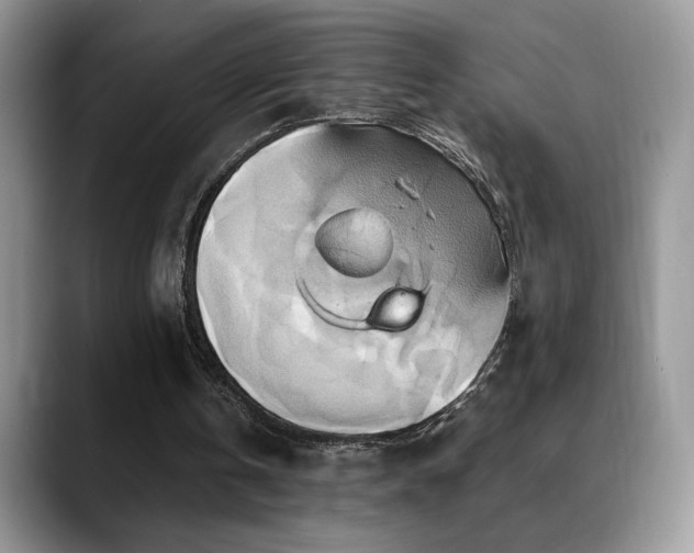 X0000088860146200706081159
