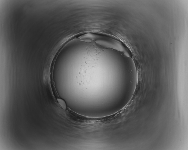 X0000088860147200706081159