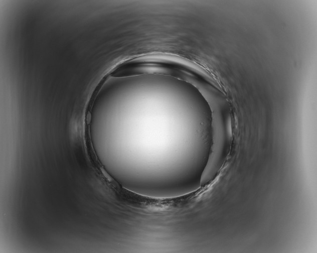 X0000088860148200706081159