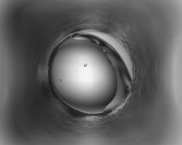 X0000088860150200706081159