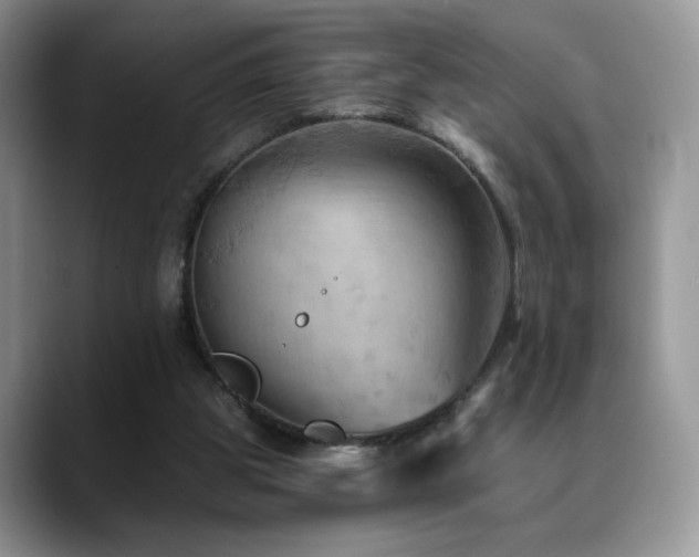 X0000088860153200706081159