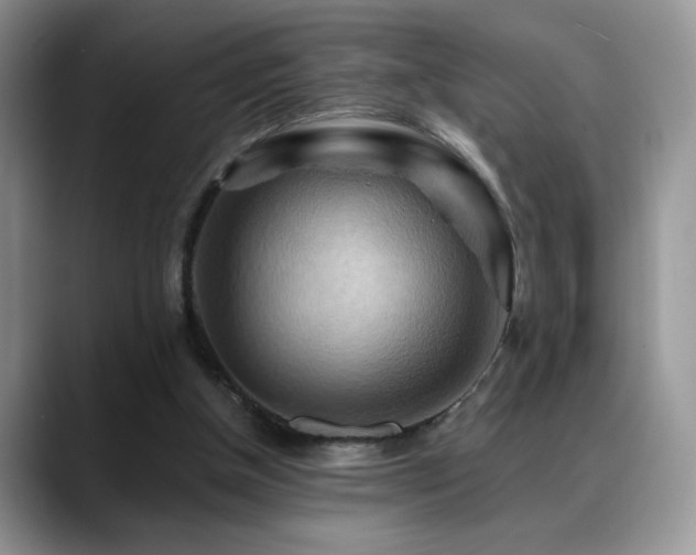 X0000088860154200706081159