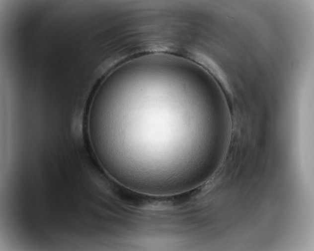 X0000088860155200706081159