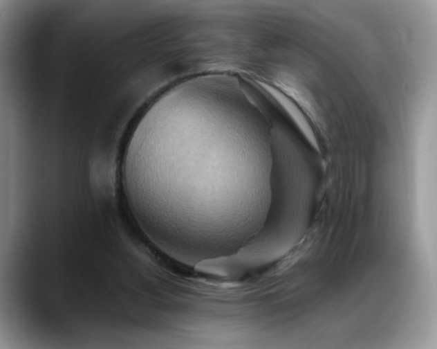 X0000088860156200706081159