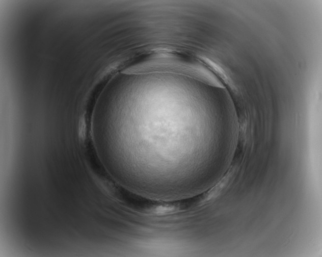 X0000088860158200706081159