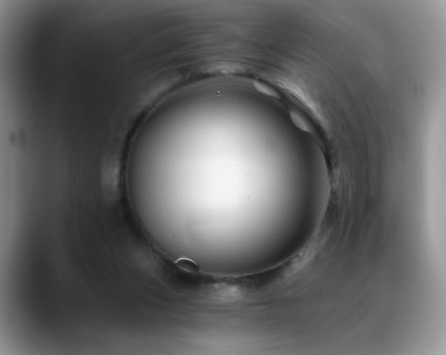X0000088860159200706081159