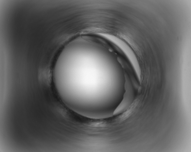 X0000088860160200706081159