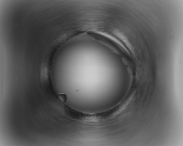 X0000088860161200706081159