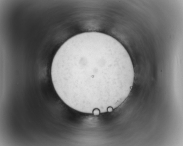 X0000088860162200706081159