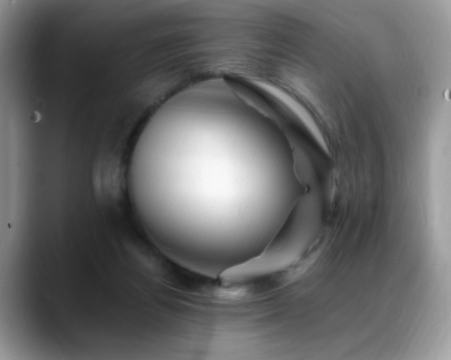 X0000088860164200706081159