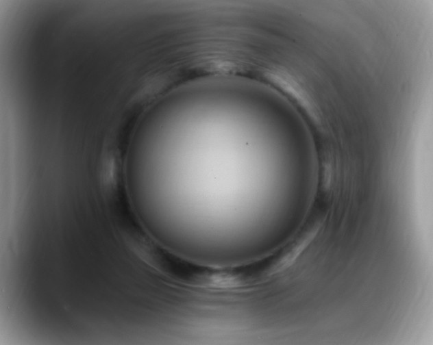 X0000088860165200706081159