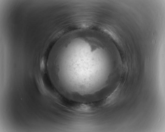 X0000088860166200706081159
