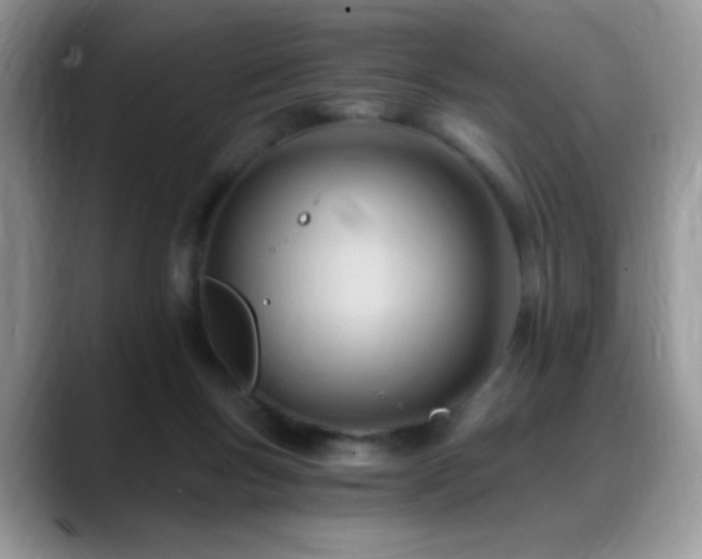 X0000088860167200706081159