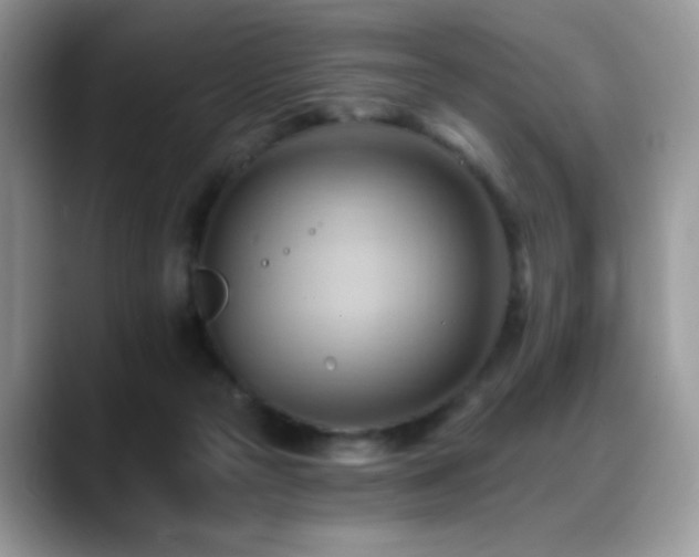 X0000088860169200706081159